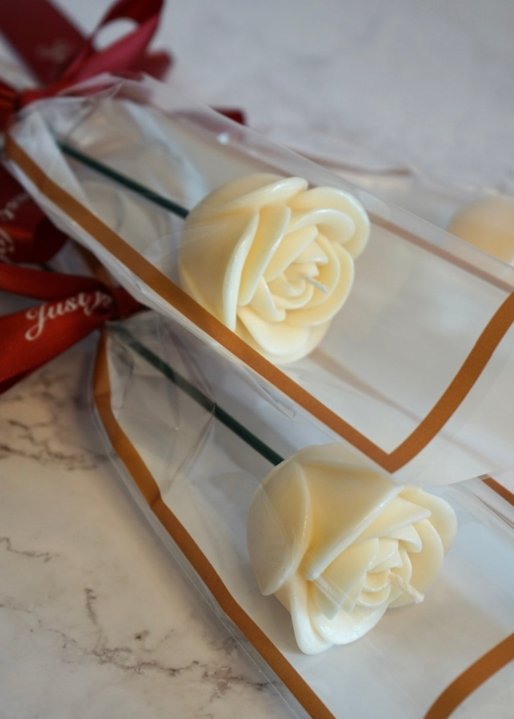 Rose blanche individuelle
